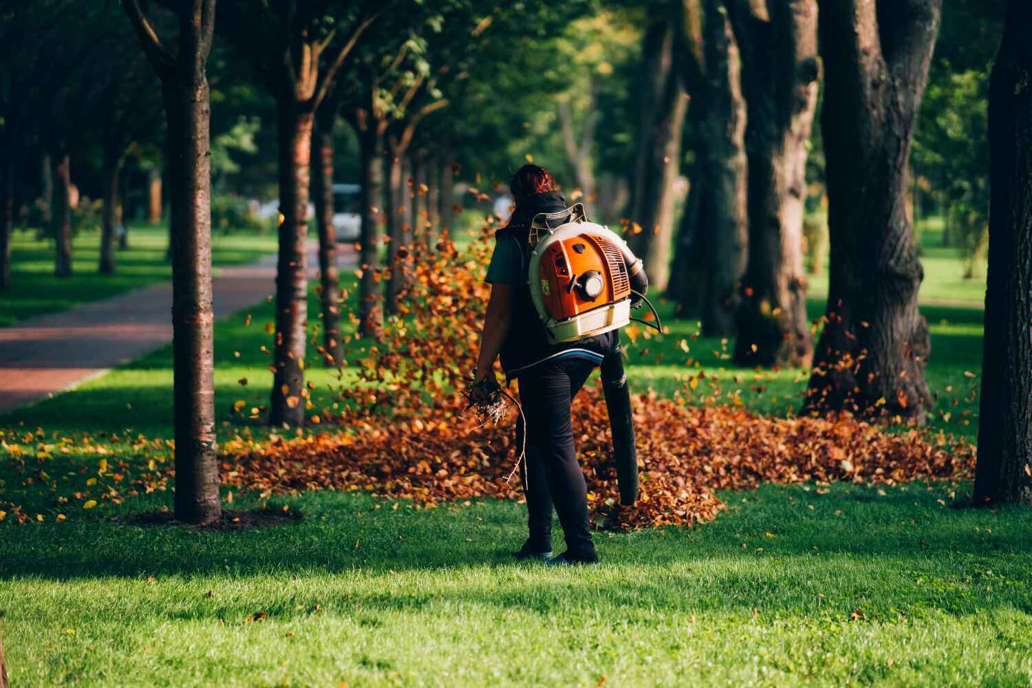 Best Tree Pruning Services  in Monroe, MI